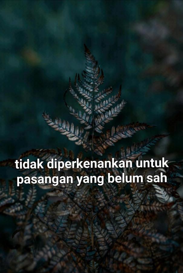 Omah Konco