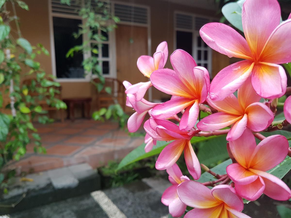 Wisma tamu Omah Konco