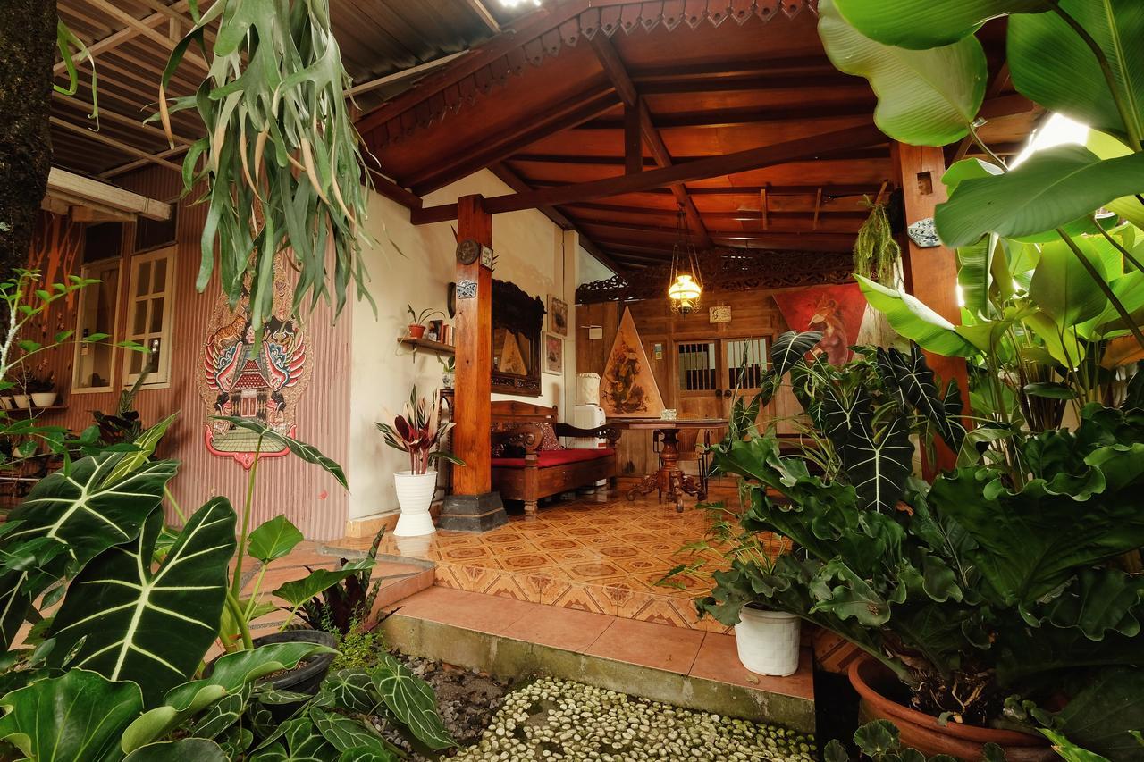 Wisma tamu Omah Konco Yogyakarta